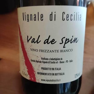 Val di Spin - Vignale di Cecilia - Paolo Brunello 