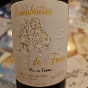 Valcabrières de Fantine - Clos Fantine - Carole, Olivier & Corine Andrieu 