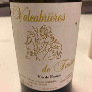 Clos Fantine - Carole, Olivier & Corine Andrieu - Valcabrières de Fantine