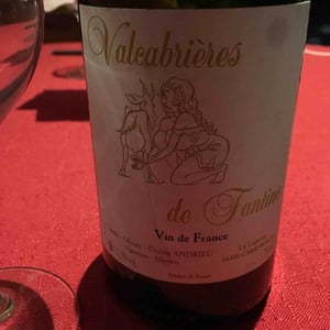 Valcabrières de Fantine - Clos Fantine - Carole, Olivier & Corine Andrieu 
