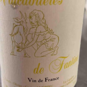 Valcabrières de Fantine - Clos Fantine - carole-olivier-corine-andrieu