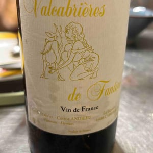 Valcabrières de Fantine - Clos Fantine - Carole, Olivier & Corine Andrieu 