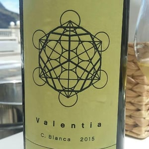 Còsmic Vinyaters - Salvador Batlle Barrabeig - Valentia Carinyana Blanca
