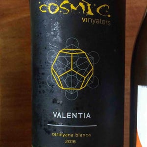 Còsmic Vinyaters - Salvador Batlle Barrabeig - Valentia Carinyana Blanca