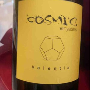 Valentia Carinyana Blanca - Còsmic Vinyaters - Salvador Batlle Barrabeig 