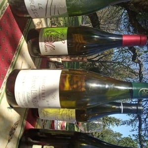 Valinière - Domaine Léon Barral - didier-barral