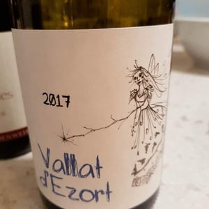 Jusqu’ici Tout Va Bien - Vallat d'Ezort - Manuela & Frédéric Martin -2020