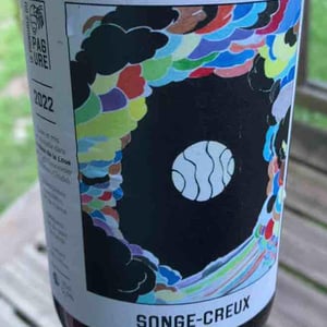 Songe-Creux - Le vignoble du Pagure - hugo-courvoisier -2022