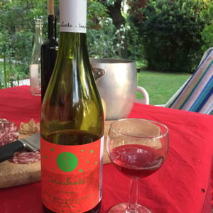 Vino Rosso - Insolente Vini - luca-elettri