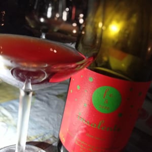 Vino Rosso - Insolente Vini - Luca Elettri 