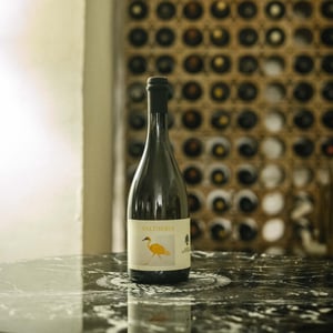 Valtiberia - Podere Sottoilnoce - max-brondolo -2020