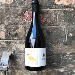 Valtiberia - Podere Sottoilnoce - max-brondolo -2020