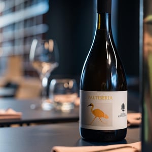 Valtiberia - Podere Sottoilnoce - max-brondolo -2020