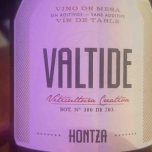 Valtide - Viñedos Hontza - Alice Bridoux et Iker Garcia 