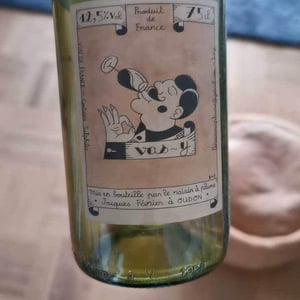 Vas-y - Le Raisin à Plume - jacques-fevrier