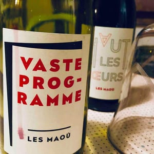 Vaste Programme 2017