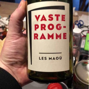 Vaste Programme