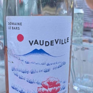 Vaudeville - Domaine Le Bars - Gwennaëlle Le Bars -2021