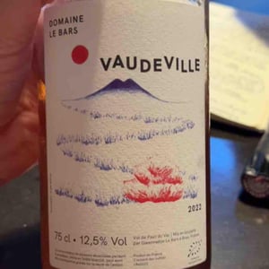 Vaudeville - Domaine Le Bars - Gwennaëlle Le Bars -2021