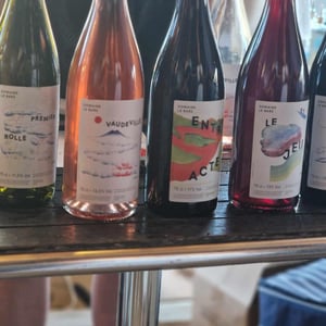 Vaudeville - Domaine Le Bars - Gwennaëlle Le Bars -2021