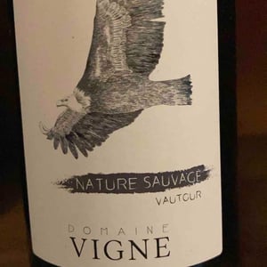 Vautour 2019