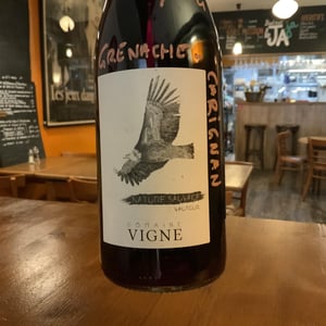 Vautour - Domaine Vigne - famille-vigne
