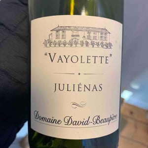 Vayolette - Domaine David-Beaupère - Louis-Clément David-Beaupère 