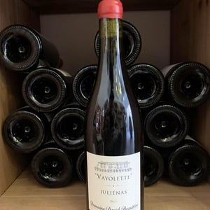 Vayolette - Domaine David-Beaupère - louis-clement-david-beaupere