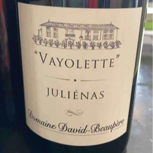 Vayolette - Domaine David-Beaupère - louis-clement-david-beaupere