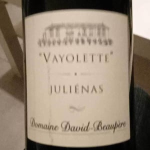 Vayolette - Domaine David-Beaupère - Louis-Clément David-Beaupère 