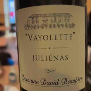 Vayolette - Domaine David-Beaupère - louis-clement-david-beaupere