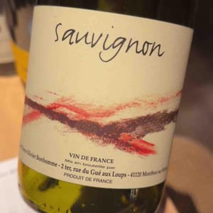 Touraine Sauvignon - Domaine POB - Pierre-Olivier Bonhomme 