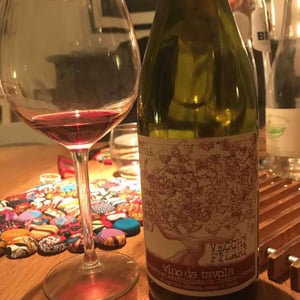 Vecchi Filari - Cantina Ortaccio - massimo-antonuzi-patrizia-montanari