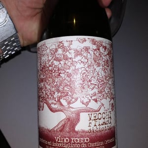 Cantina Ortaccio - Massimo Antonuzi & Patrizia Montanari - Vecchi Filari
