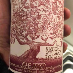 Vecchi Filari - Cantina Ortaccio - massimo-antonuzi-patrizia-montanari