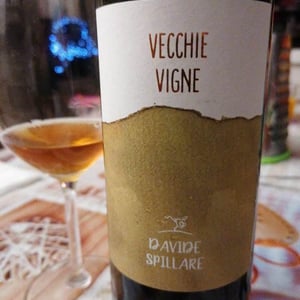 Vecchie Vigne - Azienda Agricola Davide Spillare - davide-spillare
