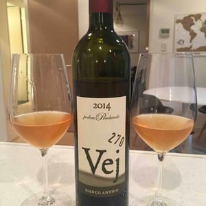 Podere Pradarolo - Alberto Carretti - Vej Bianco Antico