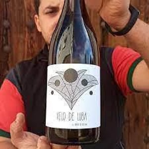 Velo de Luba - Bodega Punta De Flecha - alejandro-lopez-martin -2020