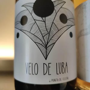 Velo de Luba - Bodega Punta De Flecha - alejandro-lopez-martin -2020