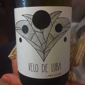 Velo de Luba - Bodega Punta De Flecha - Alejandro López Martín -2020