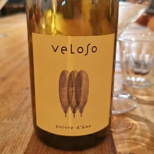 Veloso - Poivre d'Ane - alexandre-pons