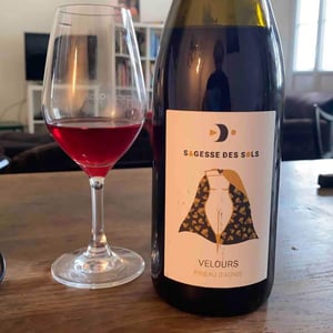 Velours - Sagesse Des Sols - catherine-frederic-roger -2021