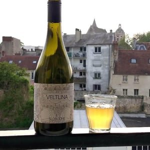 Veltlina - Slobodné Vinárstvo - Majer Zemianske Sady - michal-kuropka-agnes-lovecka-katarina-kuropkova