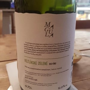 Veltlinske Zelene - Vino Magula - vladimir-magula-junior-magula-family