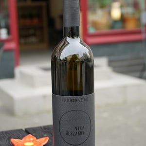 Veltlínské Zelené - Vína Herzánovi - sandra-zuzana-jakub-herzan