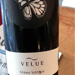 Velue Grüner Veltliner - Bioweingut Johannes Zillinger - Johannes Zillinger 