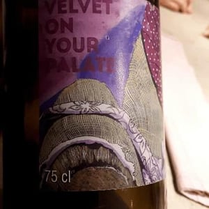 Velvet On Your Palate - Les Vins Du Fab - fabien-henriot