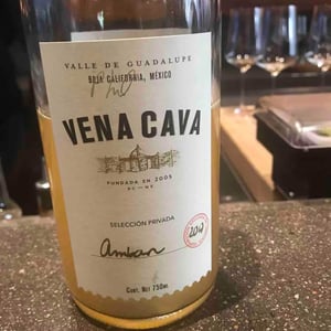 Ambar - Vena Cava - eileen-phil-gregory