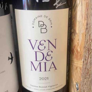 Vendemia - Domaine de Brin - damien-bonnet