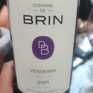 Vendemia - Domaine de Brin - Damien Bonnet 